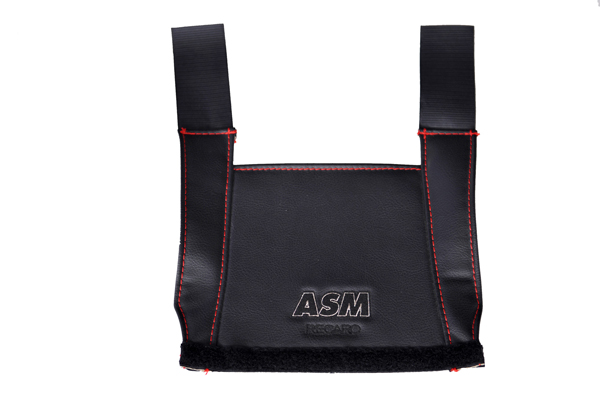 150225 asm side.jpg